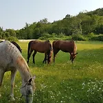 Apartmán Oasis Of Peace And Relaxation Near Opatija