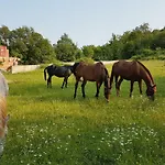 Oasis Of Peace And Relaxation Near Opatija Matulji